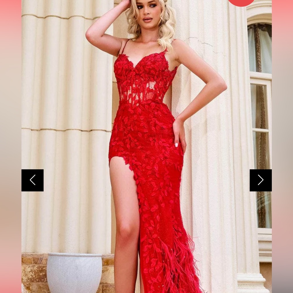 Selling two Portia and Scarlett gowns. Both are size 8 and brand new with tags.